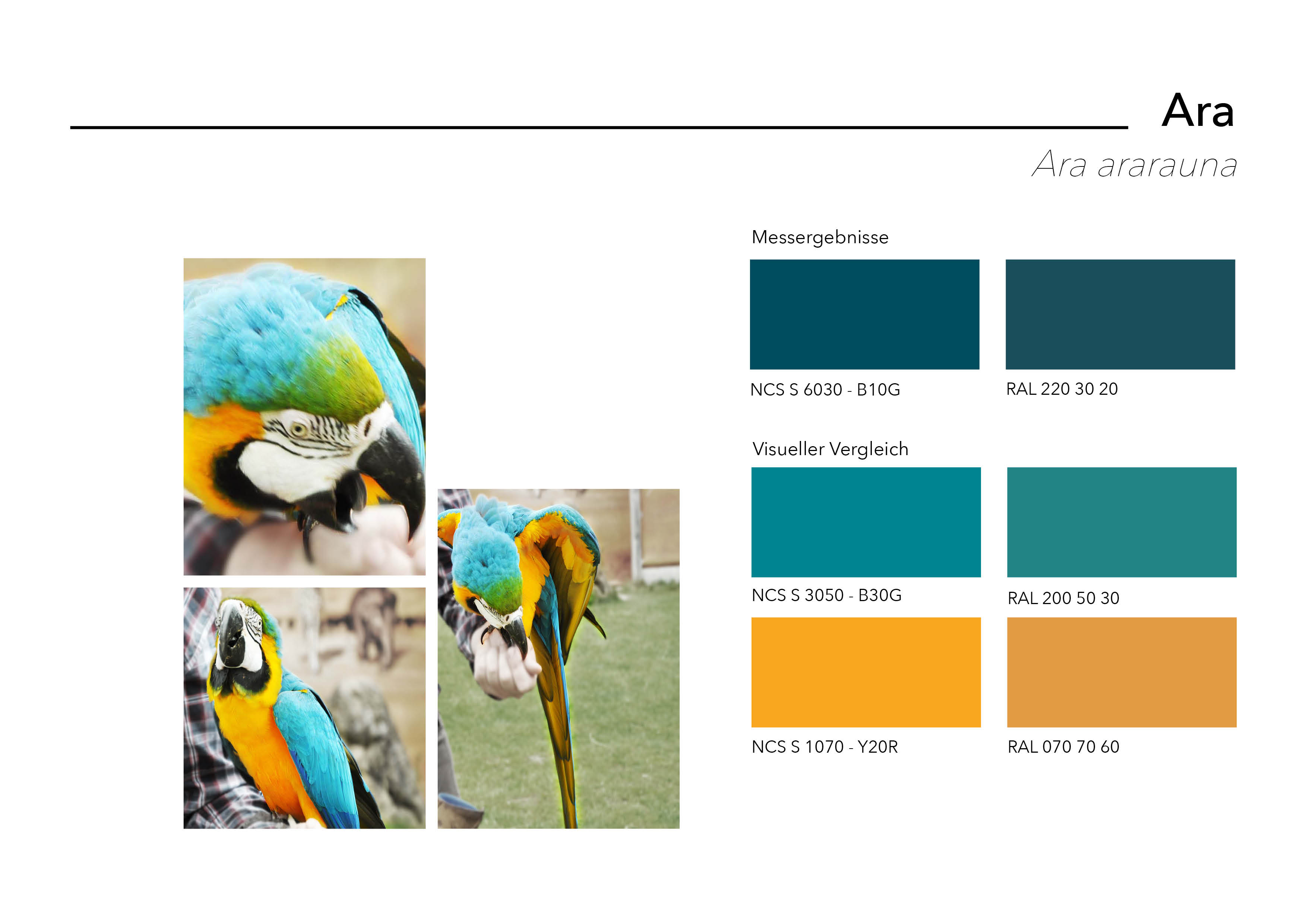 Animal color palette - Farben der Tiere
